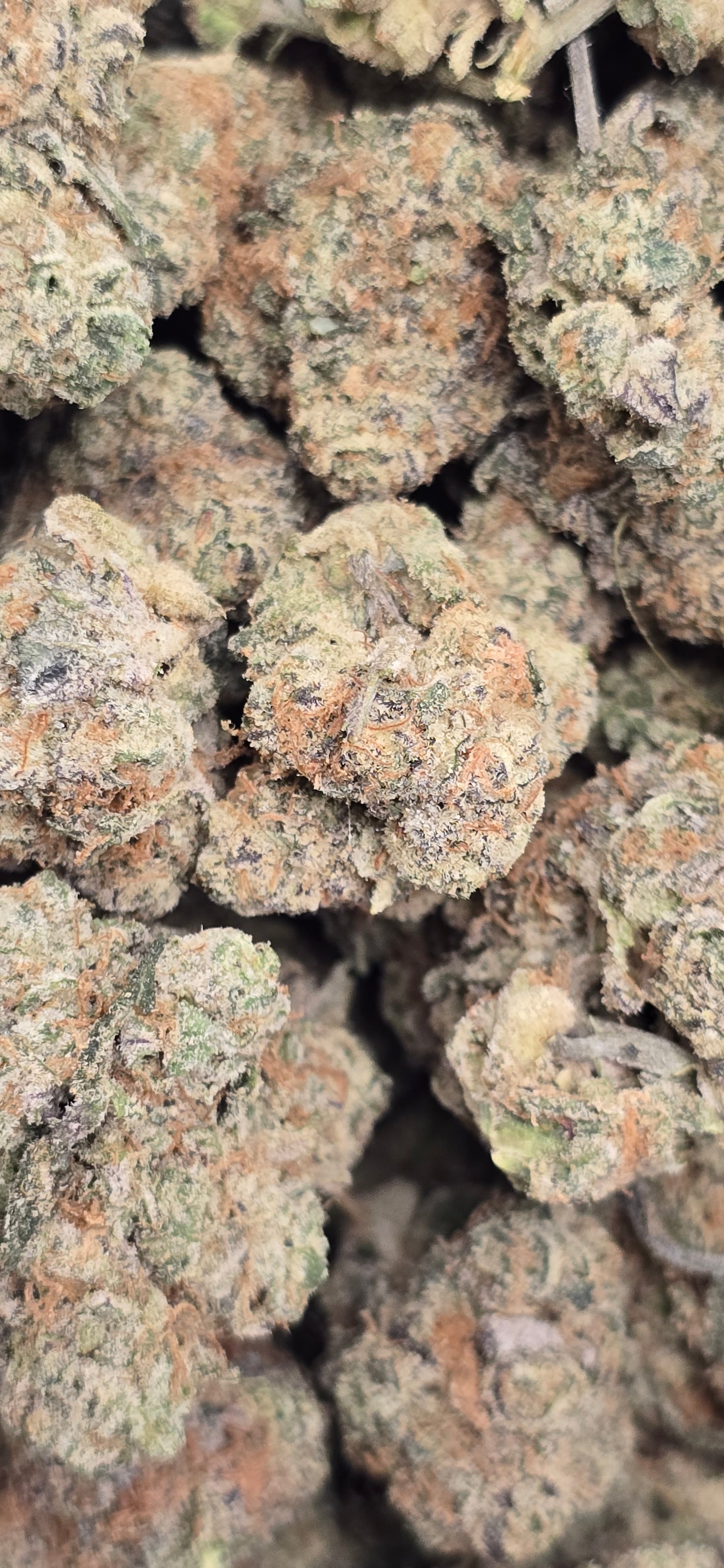 Wedding cake - THC-A Flower - Indica Hybrid