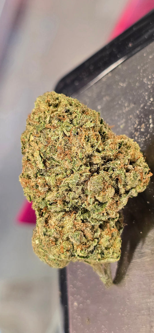 White Truffle - THC-A Flower -  Indica Hybrid