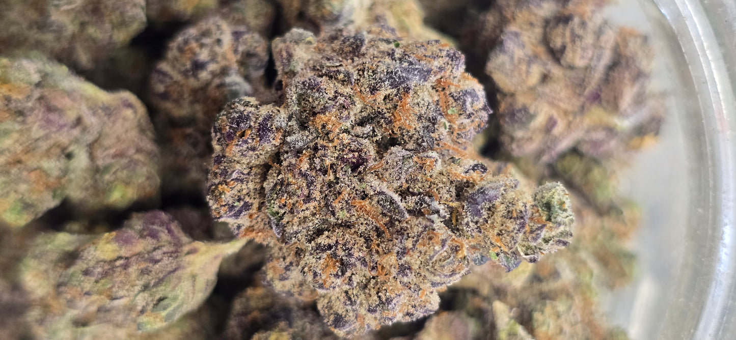 Maracuya - Premium THC-A Flower - Sativa Hybrid