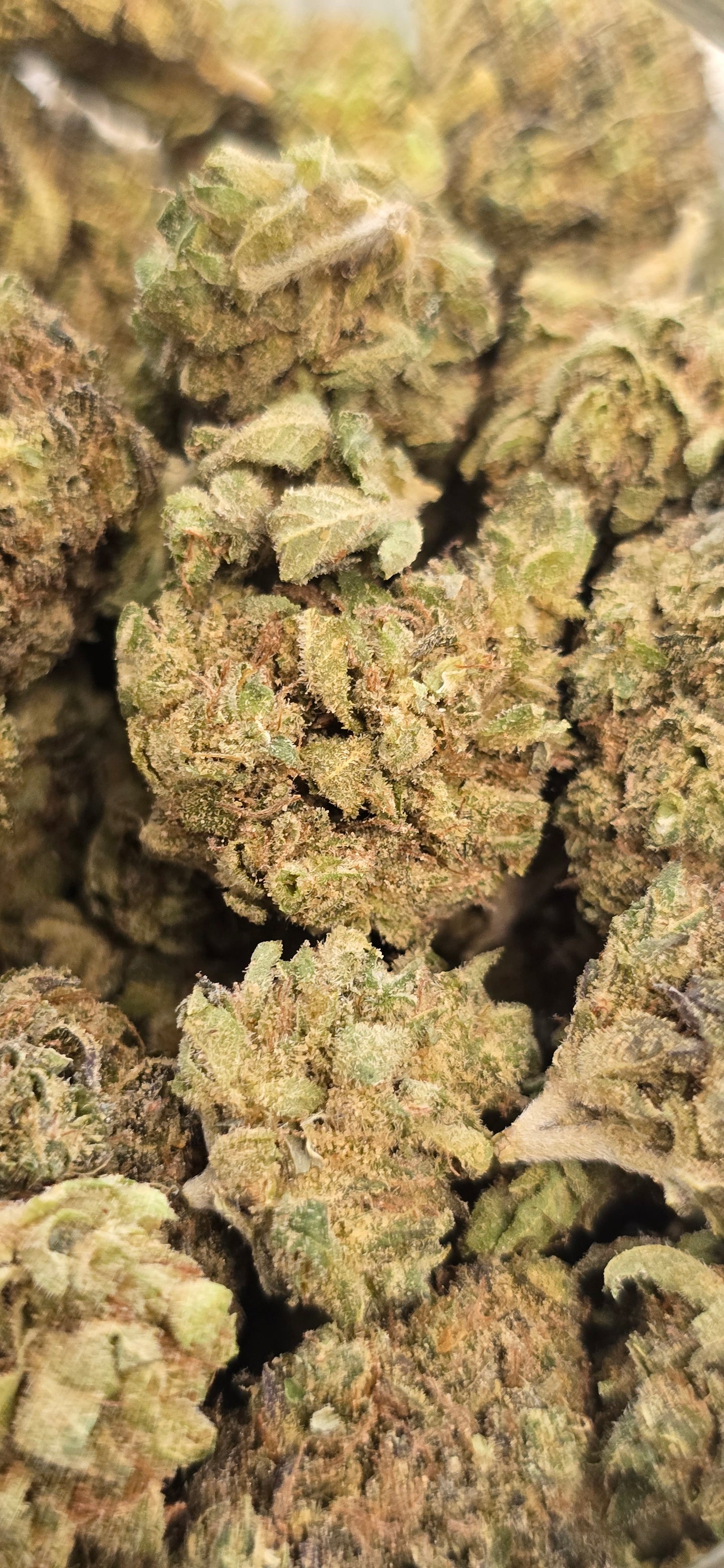 Smarties - THC-A Flower - Hybrid