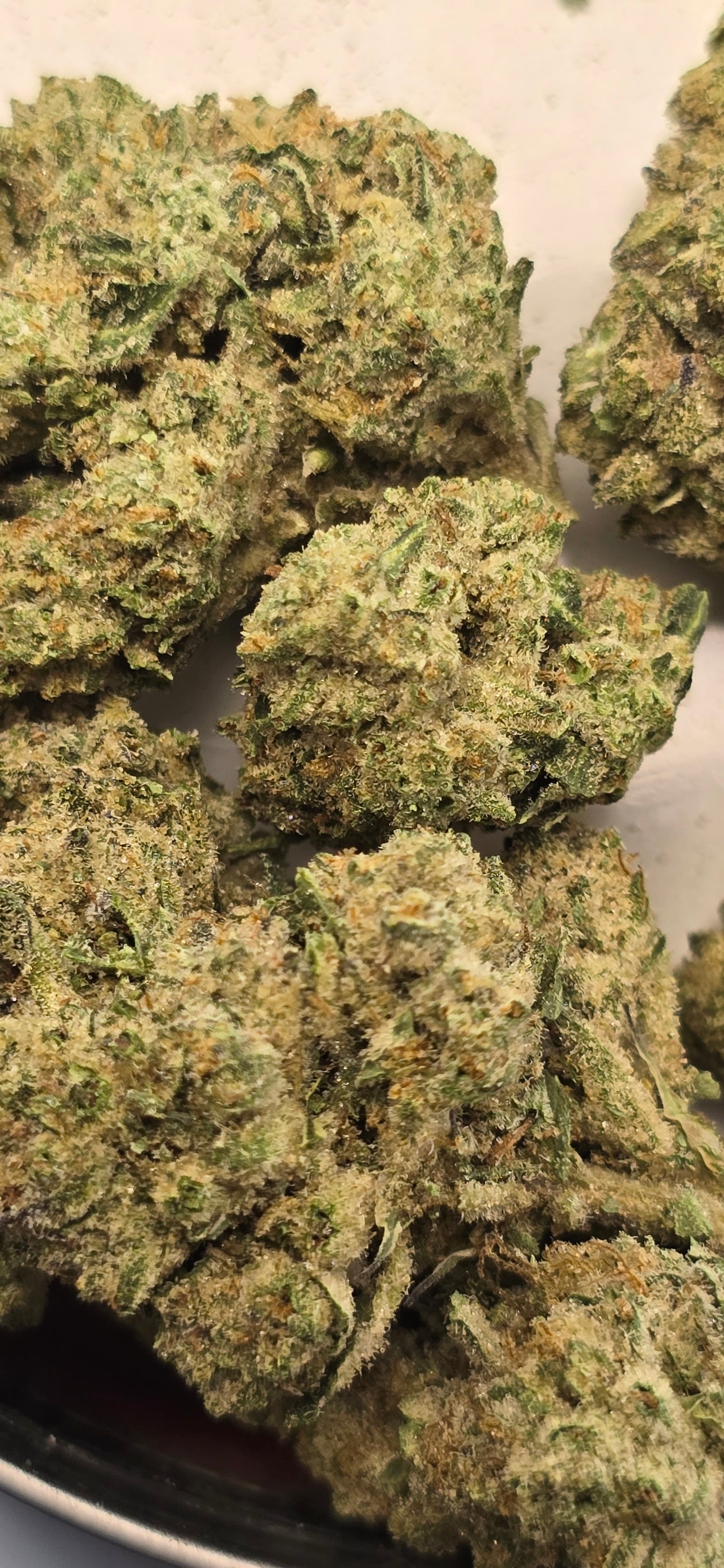 Secret Cookies - THC-A Flower - Hybrid