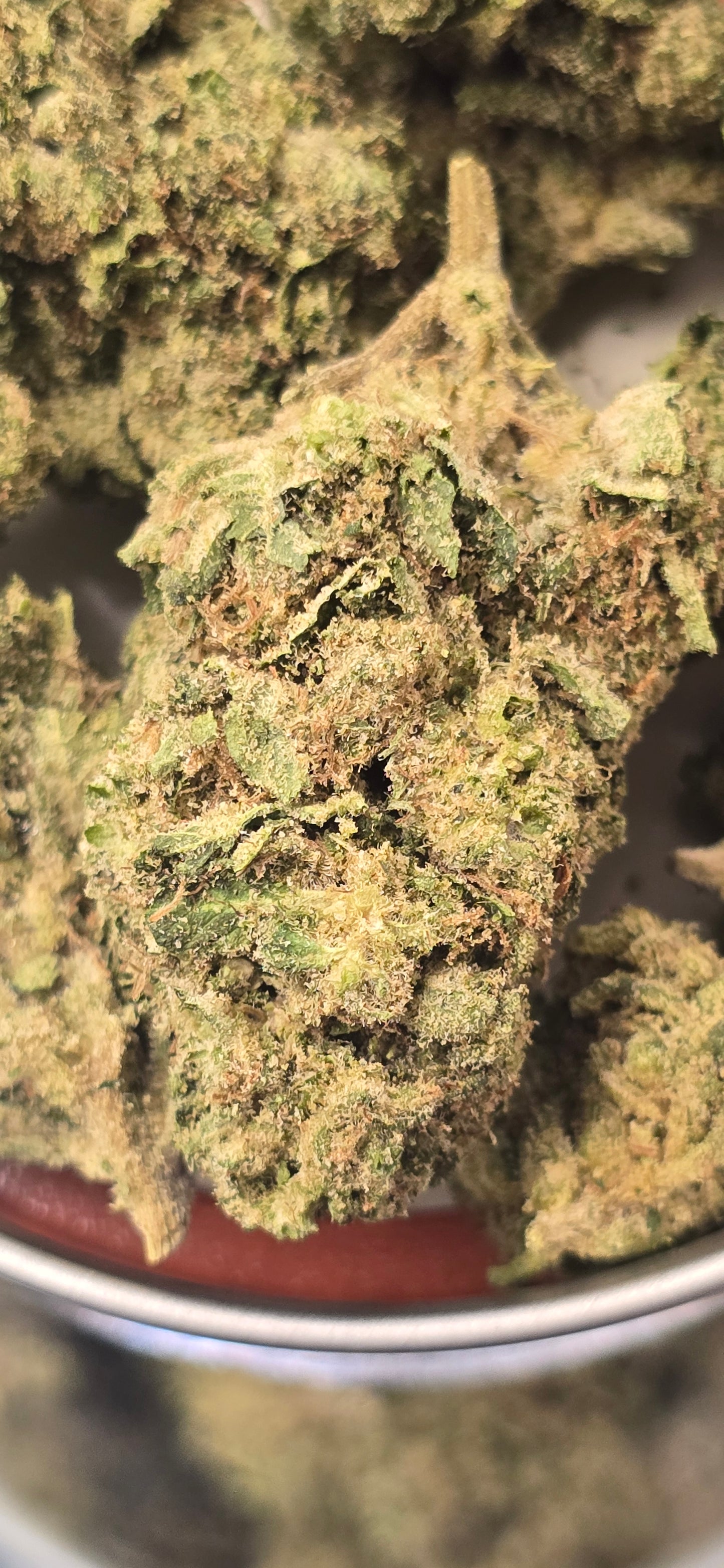 Key Lime Pie - THC-A Flower - Indica H