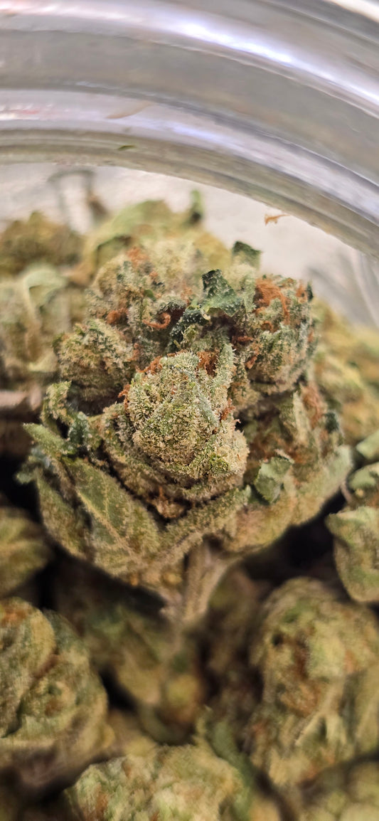 Gushers - THC-A Flower - Hybrid